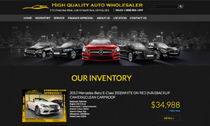 High Quality Auto Wholesaler